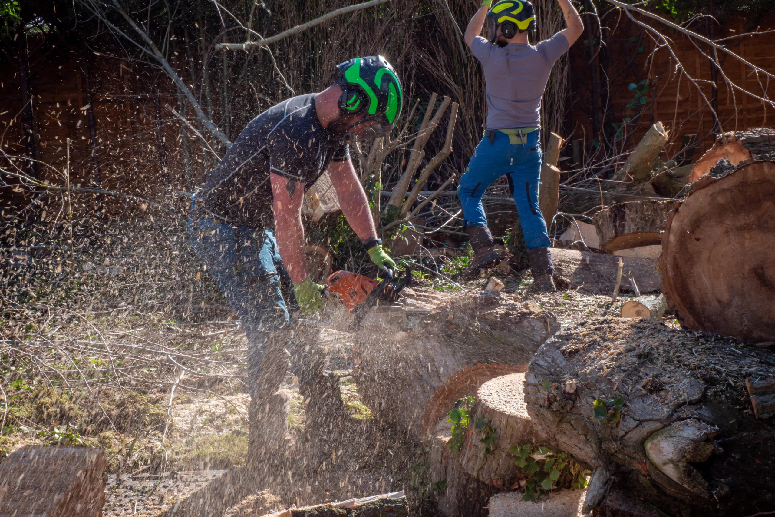 tree removal