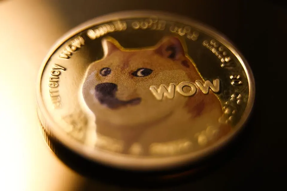 Investing in Dogecoin: Balancing Risks and Rewards Carefully